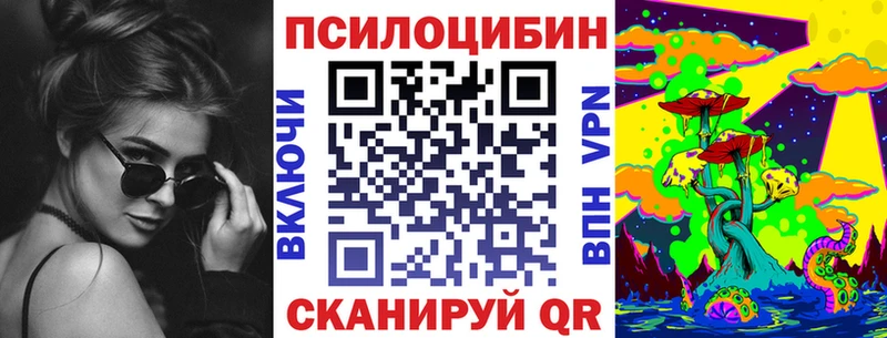 Купить закладки  Нижний Новгород  Псилоцибиновые грибы Cubensis 